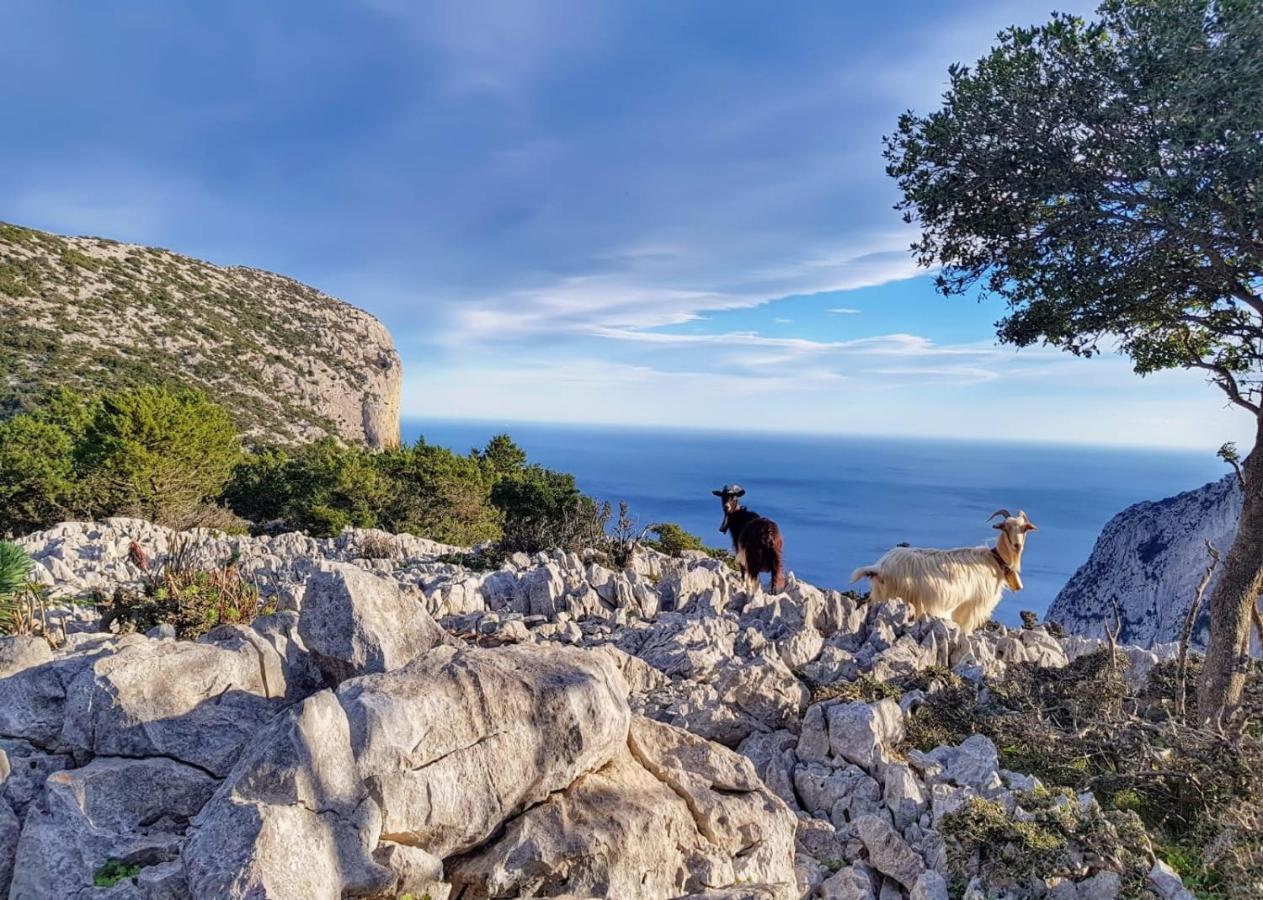 Appartamento Tra Mare E Montagna Бауней Экстерьер фото